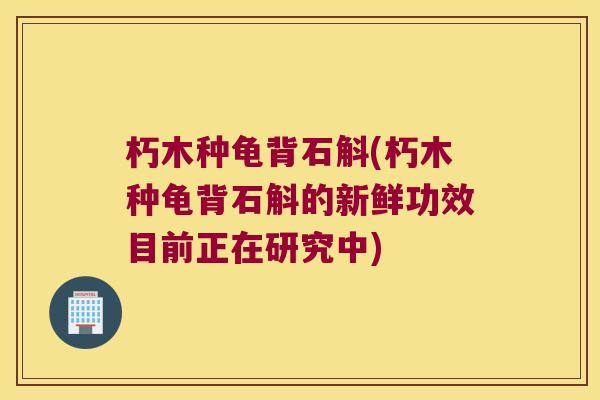 朽木种龟背石斛(朽木种龟背石斛的新鲜功效目前正在研究中)