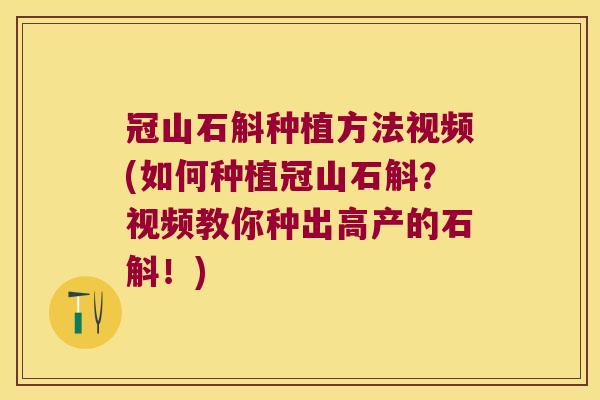 冠山石斛种植方法视频(如何种植冠山石斛？视频教你种出高产的石斛！)