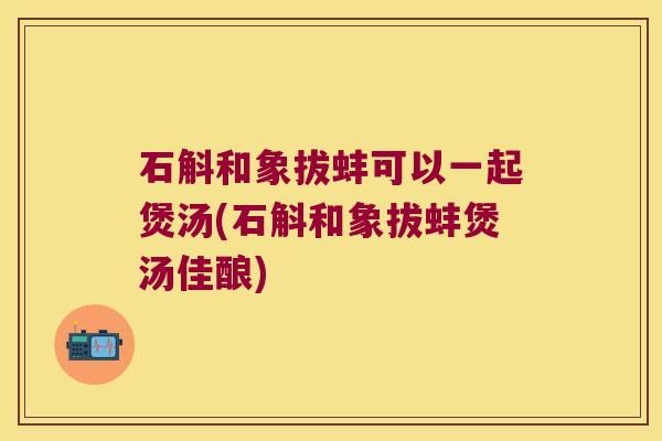 石斛和象拔蚌可以一起煲汤(石斛和象拔蚌煲汤佳酿)