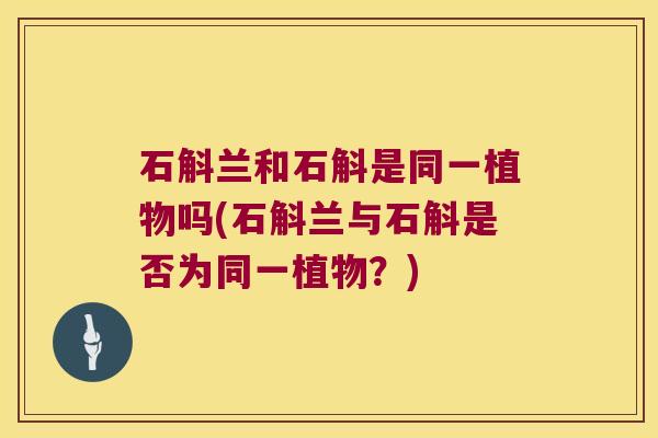 石斛兰和石斛是同一植物吗(石斛兰与石斛是否为同一植物？)