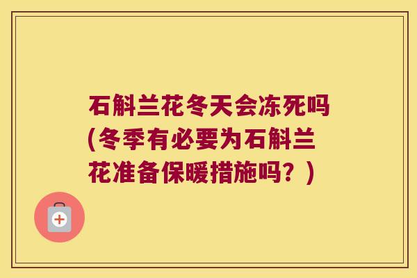 石斛兰花冬天会冻死吗(冬季有必要为石斛兰花准备保暖措施吗？)