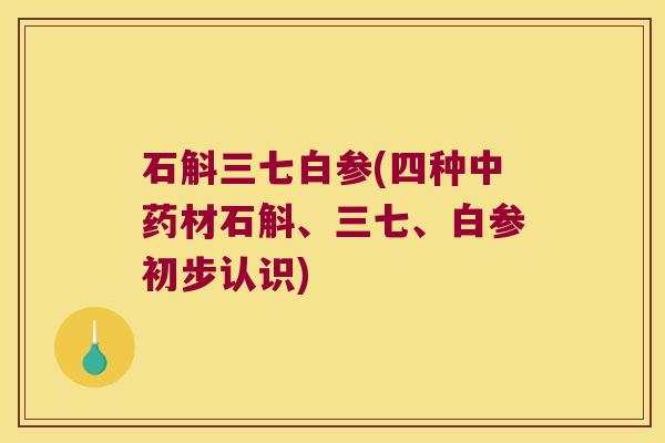 石斛三七白参(四种材石斛、三七、白参初步认识)
