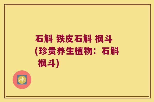 石斛 铁皮石斛 枫斗(珍贵养生植物：石斛 枫斗)