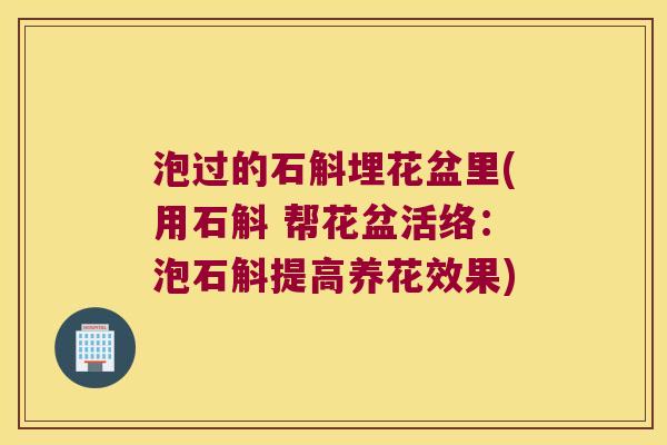 泡过的石斛埋花盆里(用石斛 帮花盆活络：泡石斛提高养花效果)
