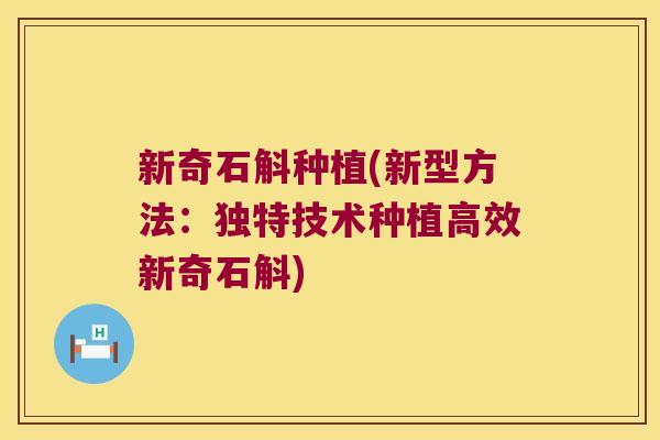 新奇石斛种植(新型方法：独特技术种植高效新奇石斛)