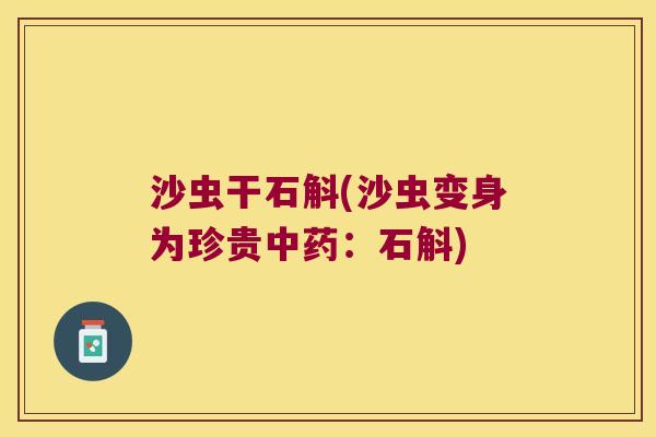 沙虫干石斛(沙虫变身为珍贵：石斛)