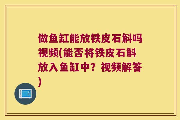 做鱼缸能放铁皮石斛吗视频(能否将铁皮石斛放入鱼缸中？视频解答)