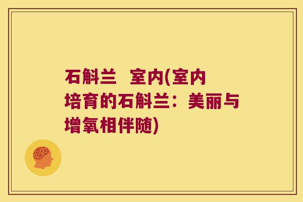 石斛兰  室内(室内培育的石斛兰：美丽与增氧相伴随)