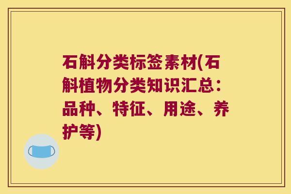 石斛分类标签素材(石斛植物分类知识汇总:品种、特征、用途、养护等) 石斛分类标签素材(石斛植物分类知识汇总:品种、特征、用途、养护等)