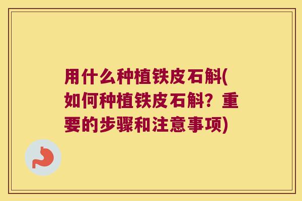 用什么种植铁皮石斛(如何种植铁皮石斛？重要的步骤和注意事项)