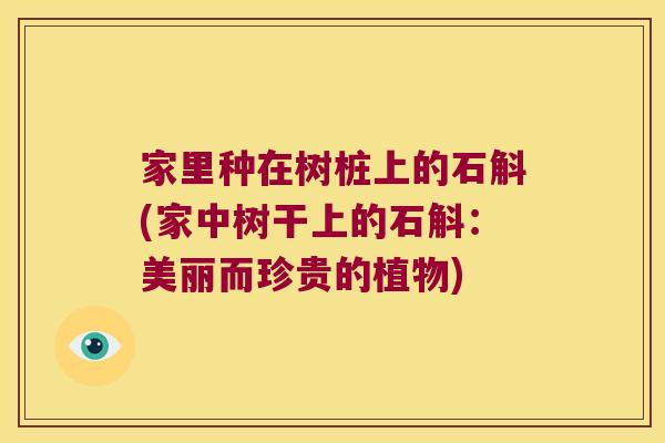 家里种在树桩上的石斛(家中树干上的石斛：美丽而珍贵的植物)