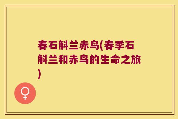 春石斛兰赤鸟(春季石斛兰和赤鸟的生命之旅)