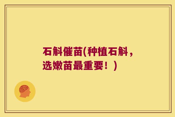 石斛催苗(种植石斛，选嫩苗重要！)