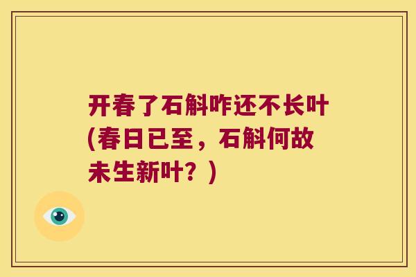 开春了石斛咋还不长叶(春日已至，石斛何故未生新叶？)