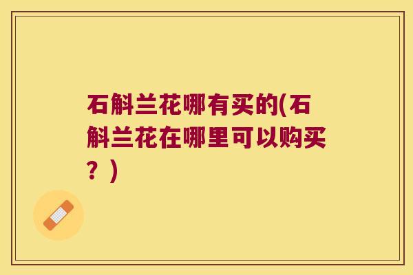 石斛兰花哪有买的(石斛兰花在哪里可以购买？)