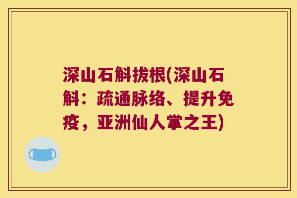 深山石斛拔根(深山石斛:疏通脉络、提升,亚洲仙人掌之王) 深山石斛拔根(深山石斛:疏通脉络、提升,亚洲仙人掌之王)