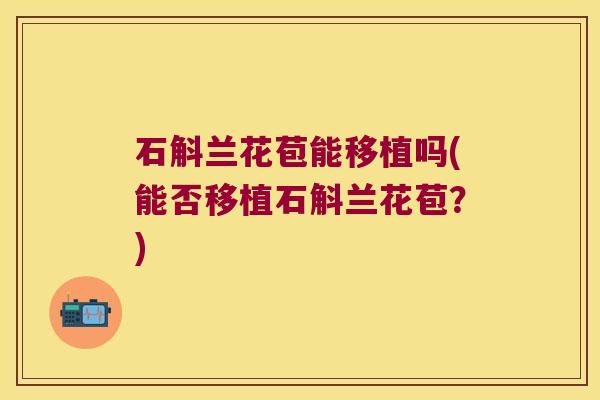石斛兰花苞能移植吗(能否移植石斛兰花苞？)