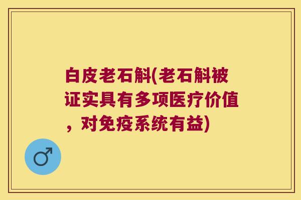 白皮老石斛(老石斛被证实具有多项医疗价值，对免疫系统有益)