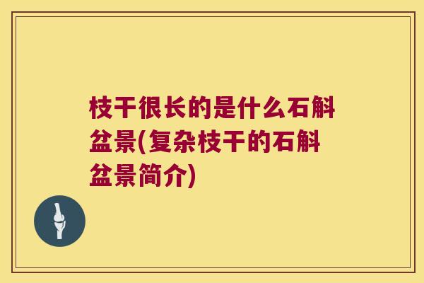 枝干很长的是什么石斛盆景(复杂枝干的石斛盆景简介)