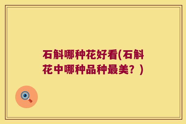 石斛哪种花好看(石斛花中哪种品种美？)
