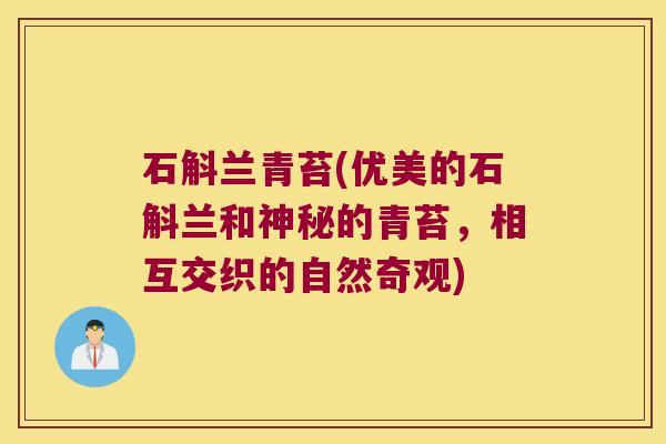 石斛兰青苔(优美的石斛兰和神秘的青苔，相互交织的自然奇观)