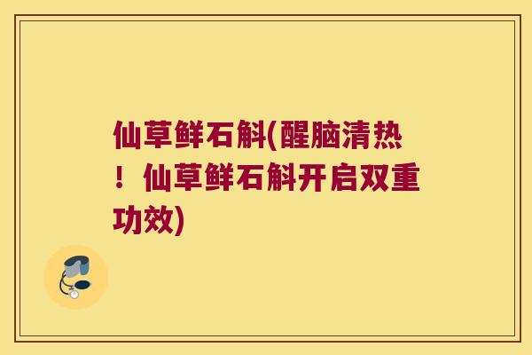 仙草鲜石斛(醒脑清热！仙草鲜石斛开启双重功效)