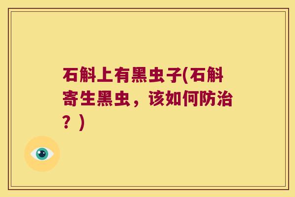 石斛上有黑虫子(石斛寄生黑虫，该如何防？)