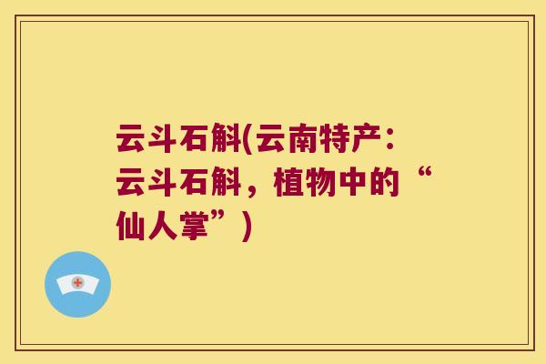 云斗石斛(云南特产：云斗石斛，植物中的“仙人掌”)