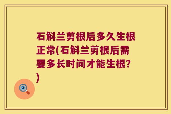 石斛兰剪根后多久生根正常(石斛兰剪根后需要多长时间才能生根？)