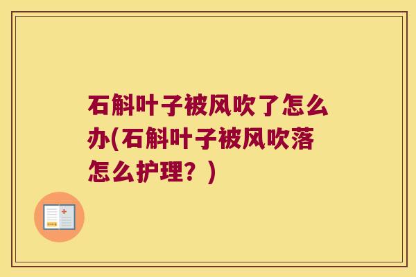 石斛叶子被风吹了怎么办(石斛叶子被风吹落怎么护理？)