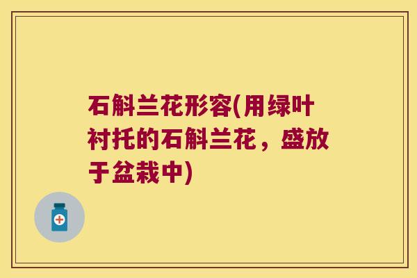 石斛兰花形容(用绿叶衬托的石斛兰花，盛放于盆栽中)