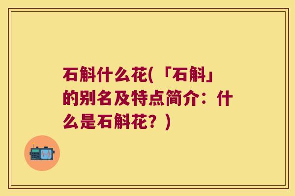 石斛什么花(「石斛」的别名及特点简介：什么是石斛花？)