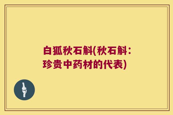 白狐秋石斛(秋石斛：珍贵材的代表)