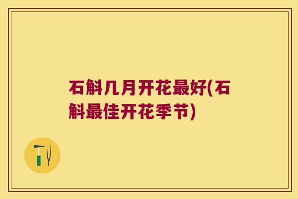 石斛几月开花最好(石斛最佳开花季节)