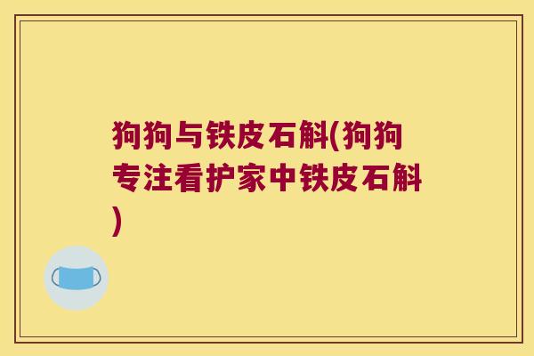 狗狗与铁皮石斛(狗狗专注看护家中铁皮石斛)
