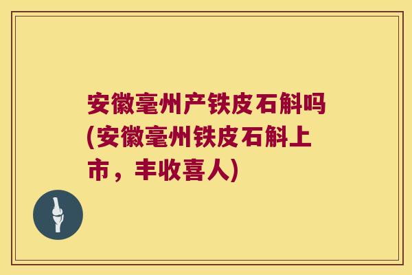 安徽毫州产铁皮石斛吗(安徽毫州铁皮石斛上市，丰收喜人)