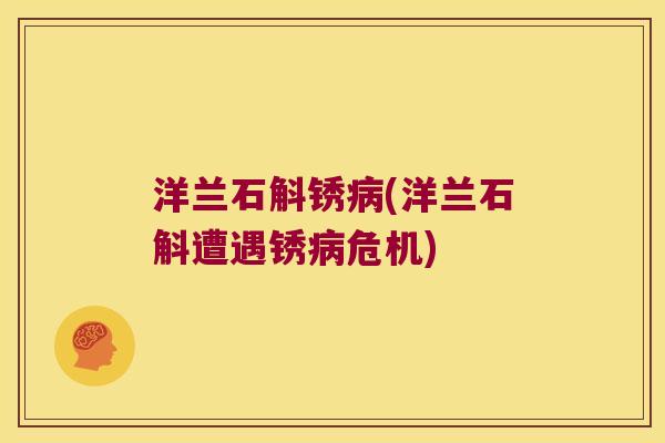 洋兰石斛锈病(洋兰石斛遭遇锈病危机)