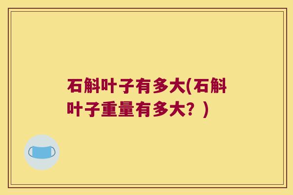 石斛叶子有多大(石斛叶子重量有多大？)