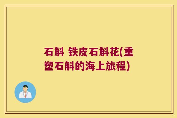 石斛 铁皮石斛花(重塑石斛的海上旅程)