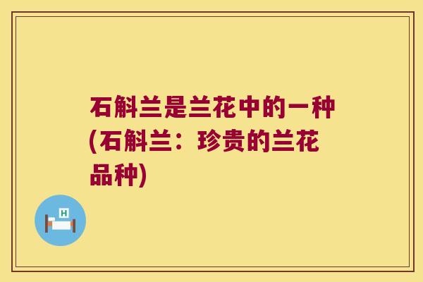 石斛兰是兰花中的一种(石斛兰：珍贵的兰花品种)
