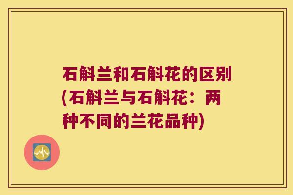 石斛兰和石斛花的区别(石斛兰与石斛花：两种不同的兰花品种)