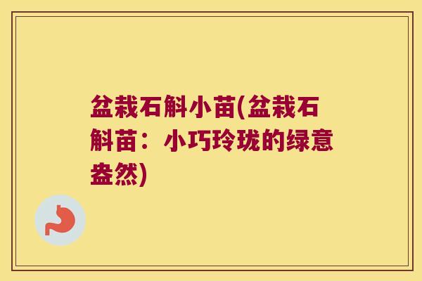 盆栽石斛小苗(盆栽石斛苗：小巧玲珑的绿意盎然)