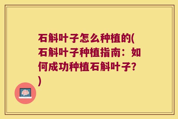 石斛叶子怎么种植的(石斛叶子种植指南：如何成功种植石斛叶子？)
