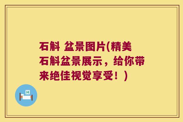 石斛 盆景图片(精美石斛盆景展示，给你带来绝佳视觉享受！)