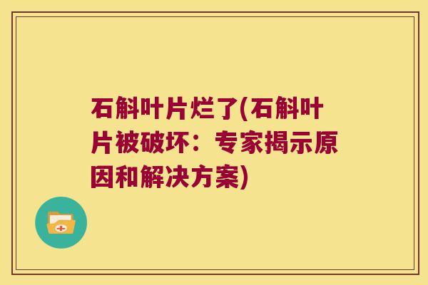 石斛叶片烂了(石斛叶片被破坏：专家揭示原因和解决方案)
