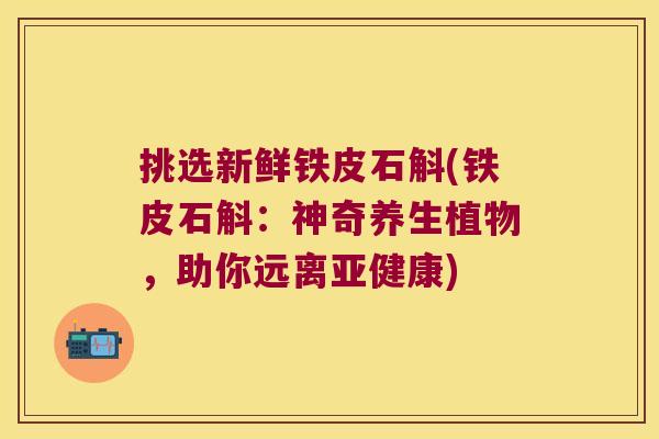 挑选新鲜铁皮石斛(铁皮石斛：神奇养生植物，助你远离)