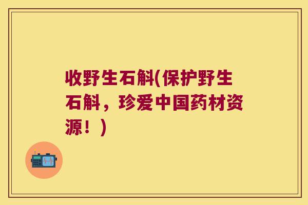 收野生石斛(保护野生石斛，珍爱中国药材资源！)