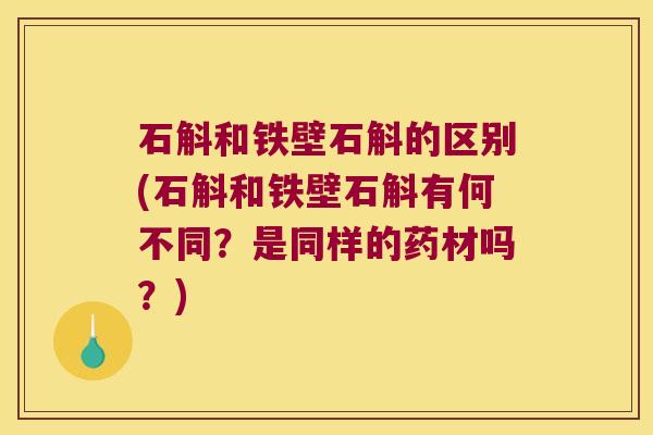 石斛和铁壁石斛的区别(石斛和铁壁石斛有何不同？是同样的药材吗？)