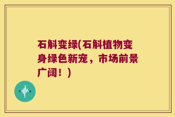 石斛变绿(石斛植物变身绿色新宠，市场前景广阔！)