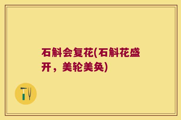 石斛会复花(石斛花盛开，美轮美奂)